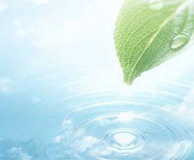 888电子游戏官网