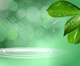 888电子游戏官网