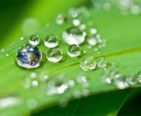 888电子游戏官网