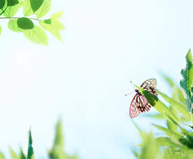 888电子游戏官网