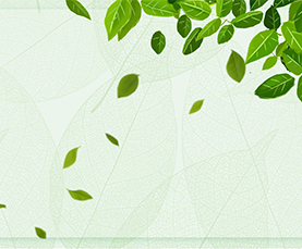 888电子游戏官网